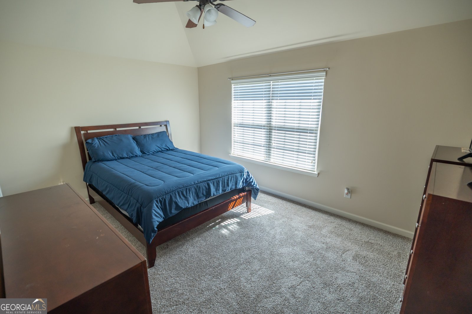 147 Telfair Lane McDonough - 19