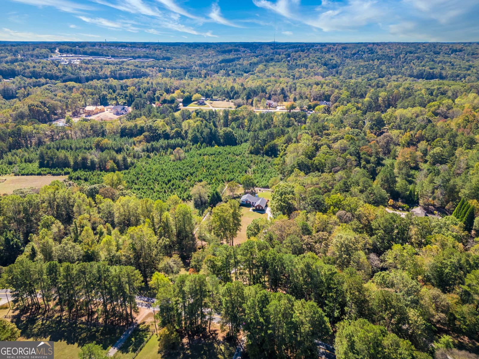 3350 Old Thompson Mill Road Buford - 4