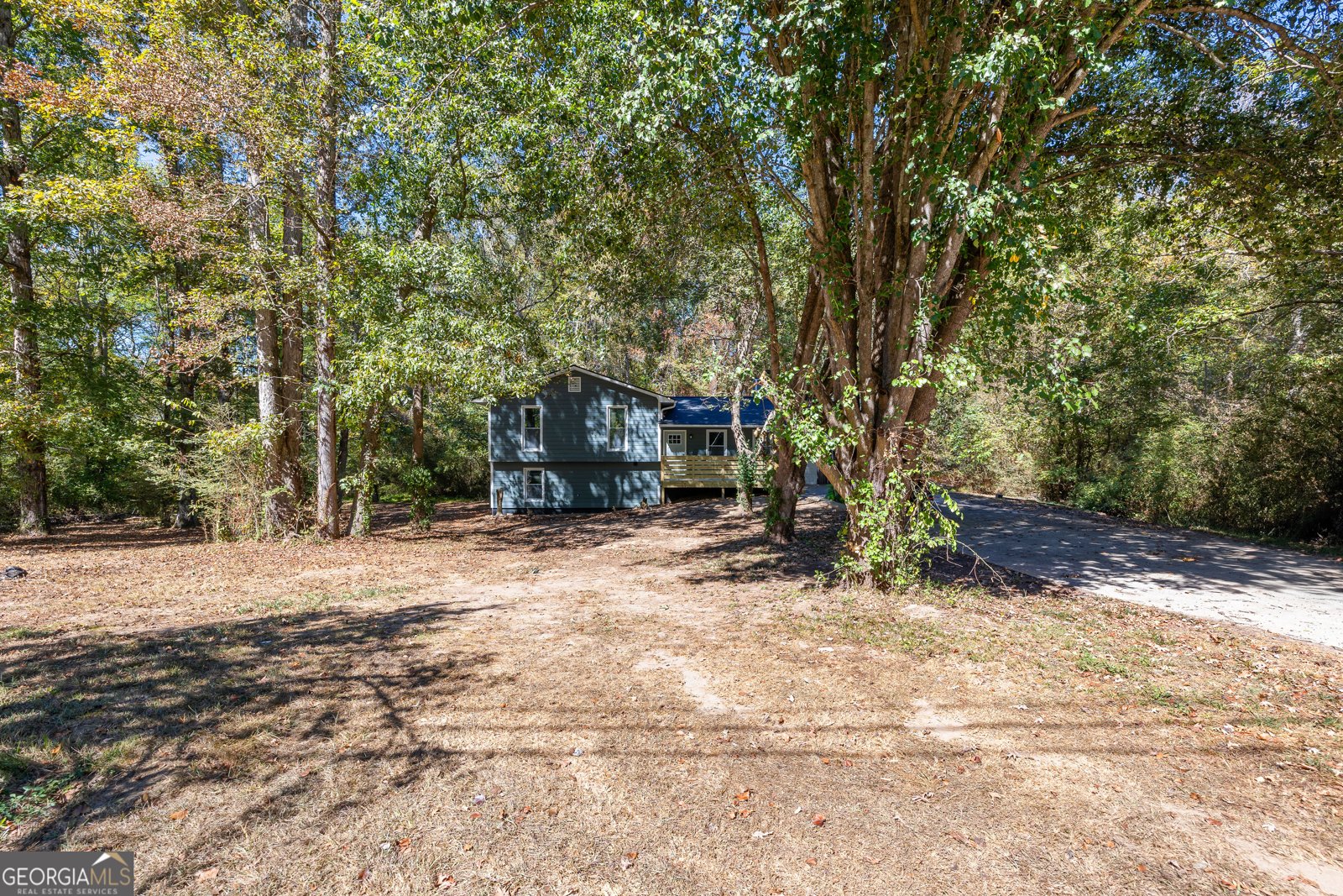 410 Freestone Drive Newnan - 1