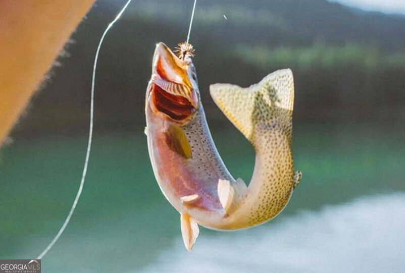 1240 Emery Creek Road Chatsworth - 28