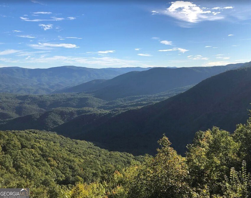 1240 Emery Creek Road Chatsworth - 38