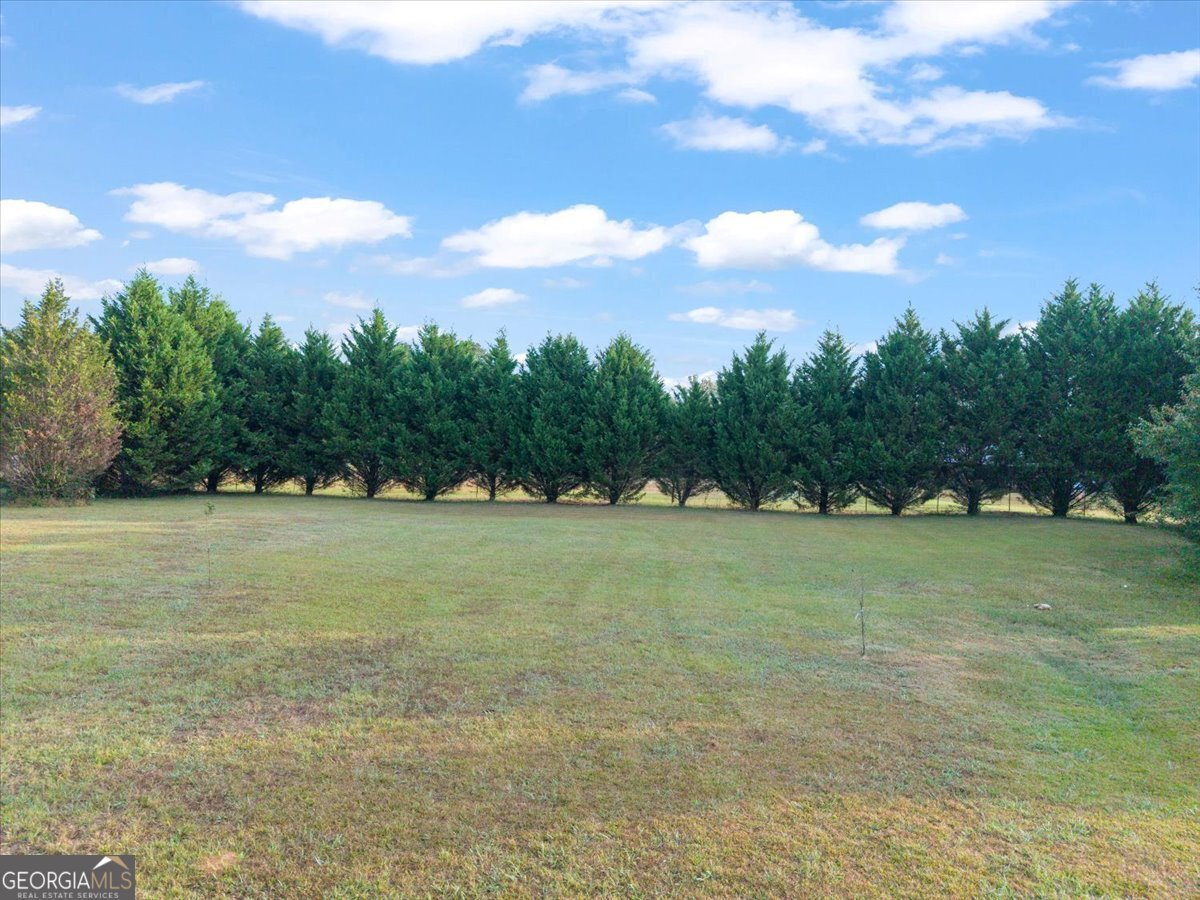 1041 Westminster Way Madison - 34