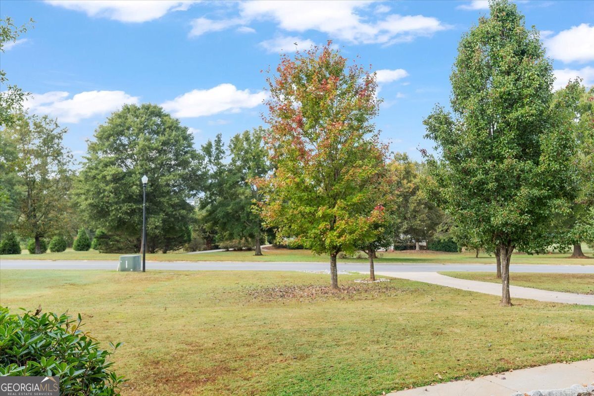 1041 Westminster Way Madison - 47