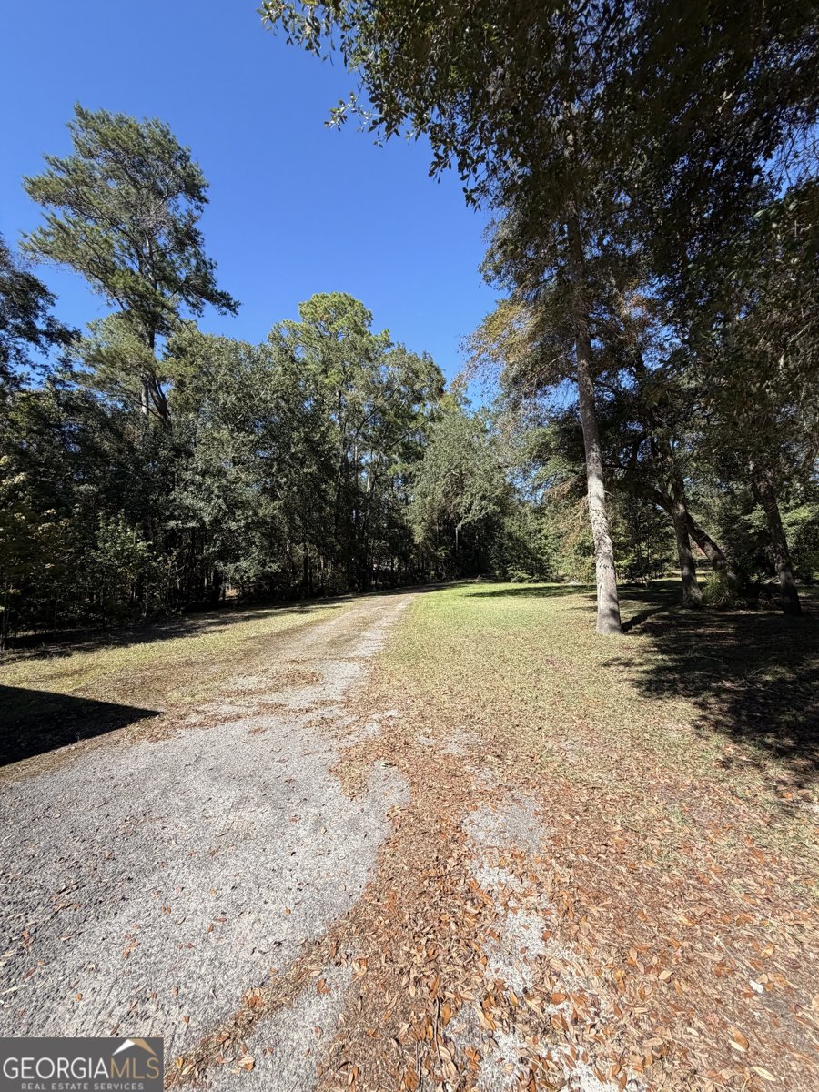 1621 St Marys River Bluff Road St. George - 5