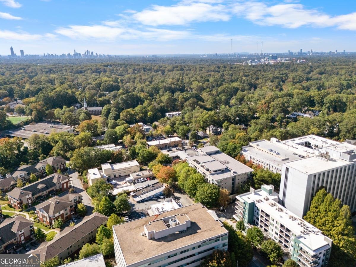 335 Ponce De Leon Avenue Decatur - 33