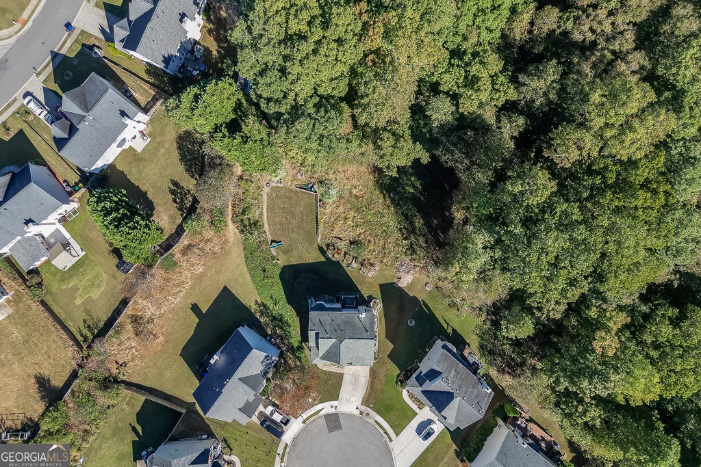812 Holly Meadow Drive Buford - 46
