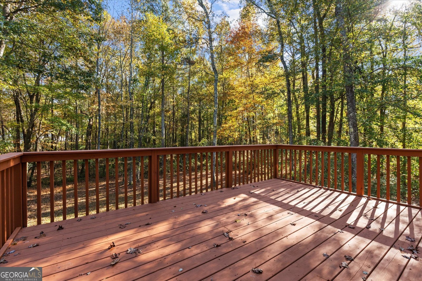 125 Muscadine Way Carrollton - 30