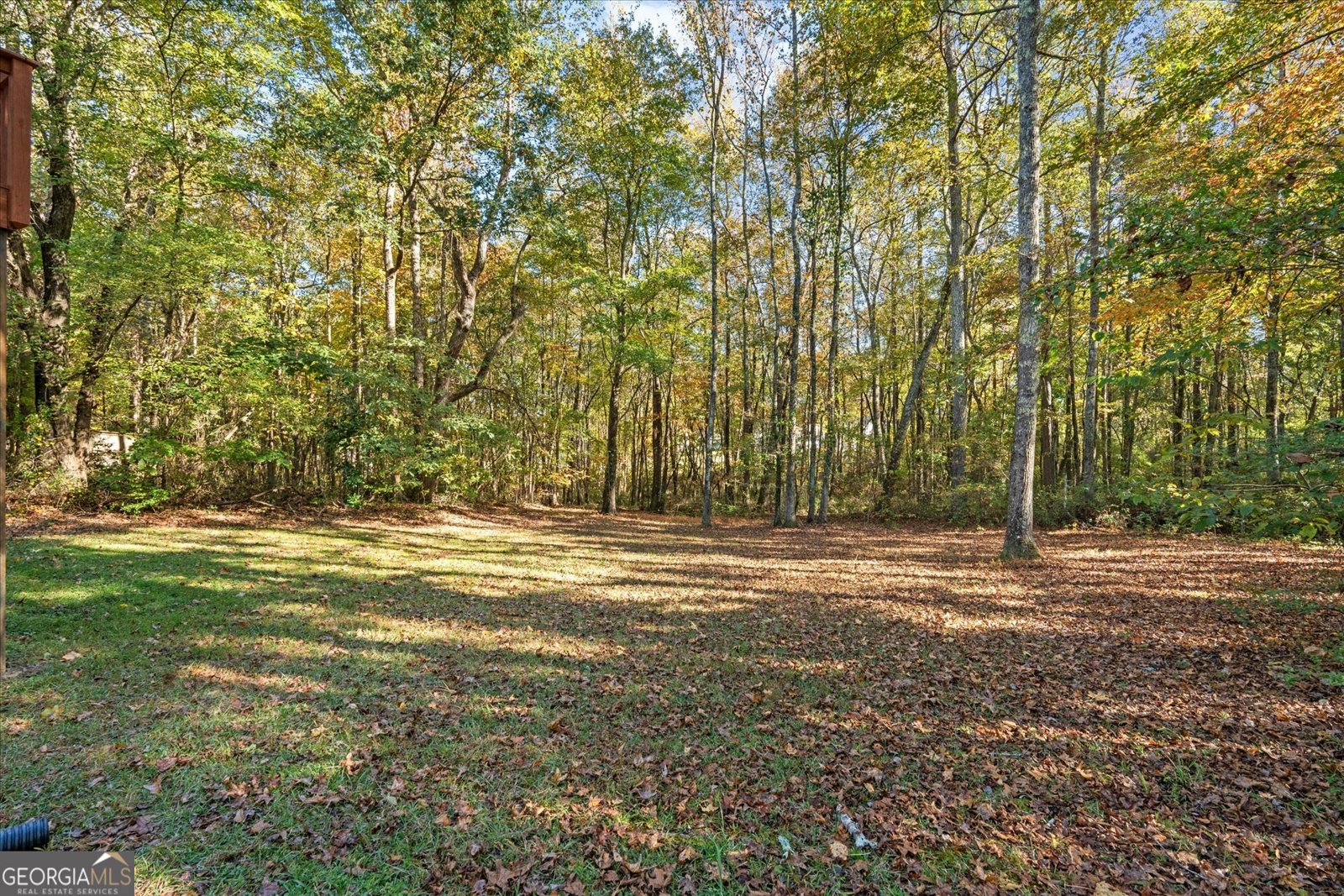 125 Muscadine Way Carrollton - 31