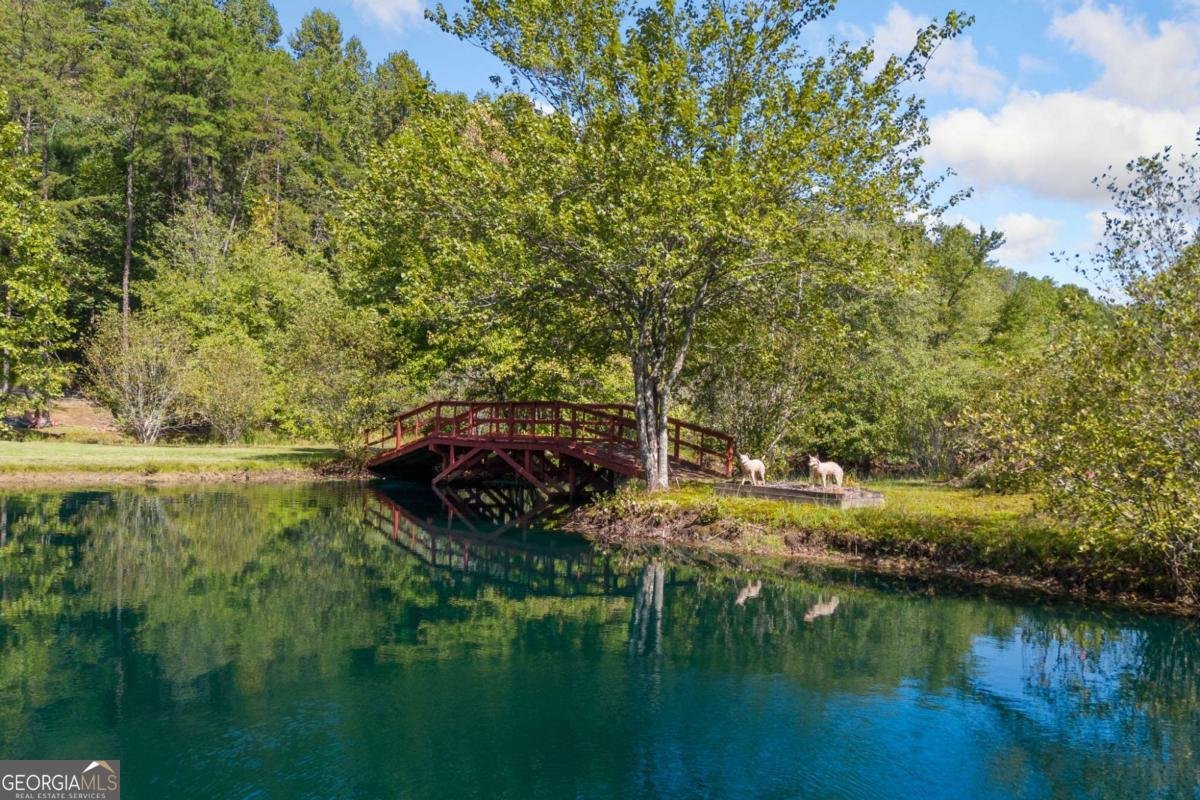 136 Bear Lake Drive Blue Ridge - 42