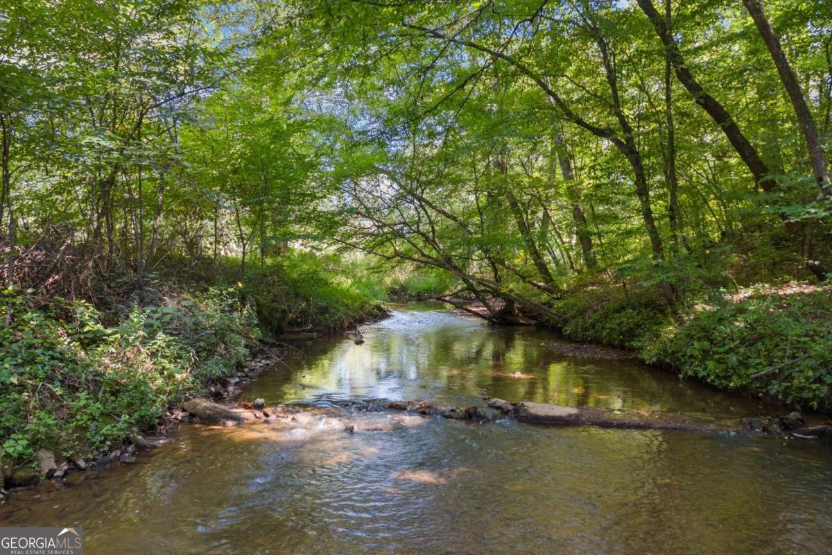 136 Bear Lake Drive Blue Ridge - 43