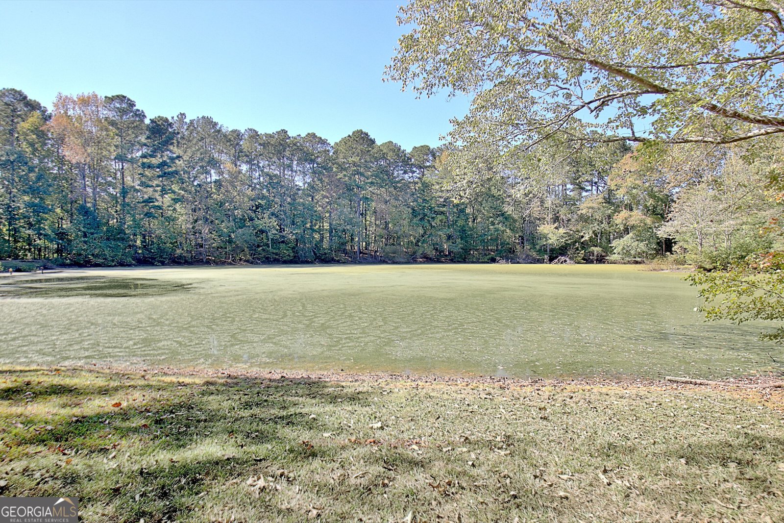 145 Holly Hill Road Fayetteville - 61