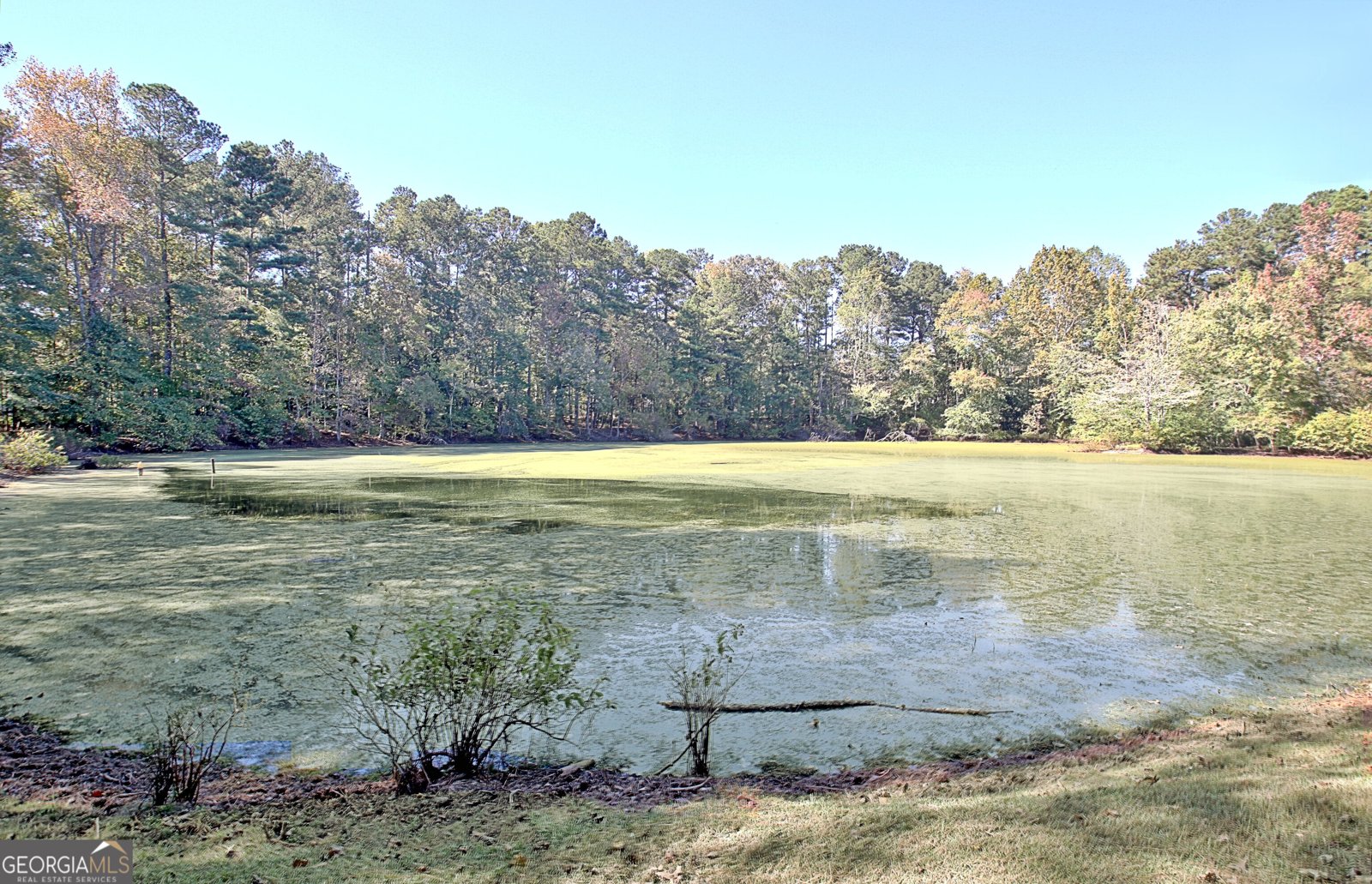 145 Holly Hill Road Fayetteville - 62