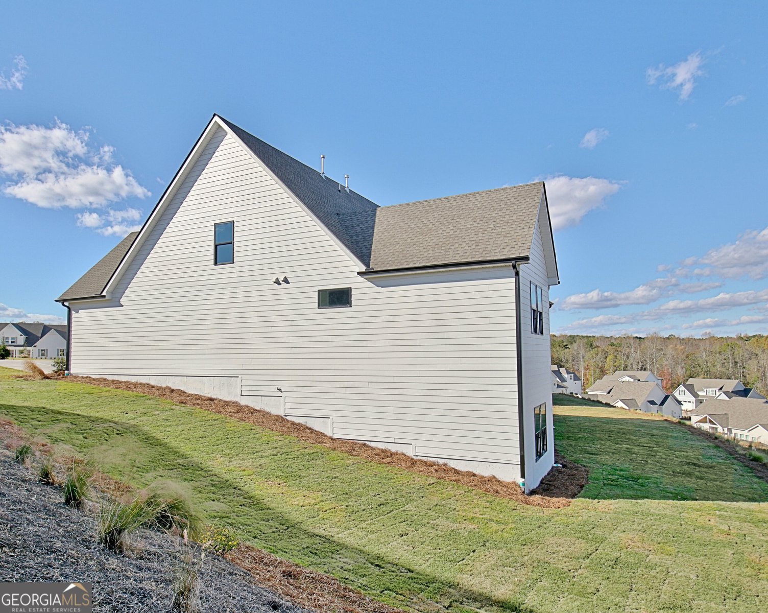 65 Crest Haven Court Senoia - 6