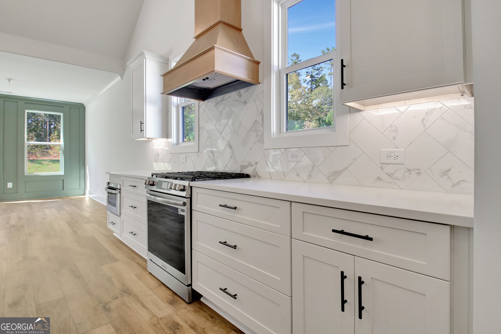 490 Werner Way Senoia - 18