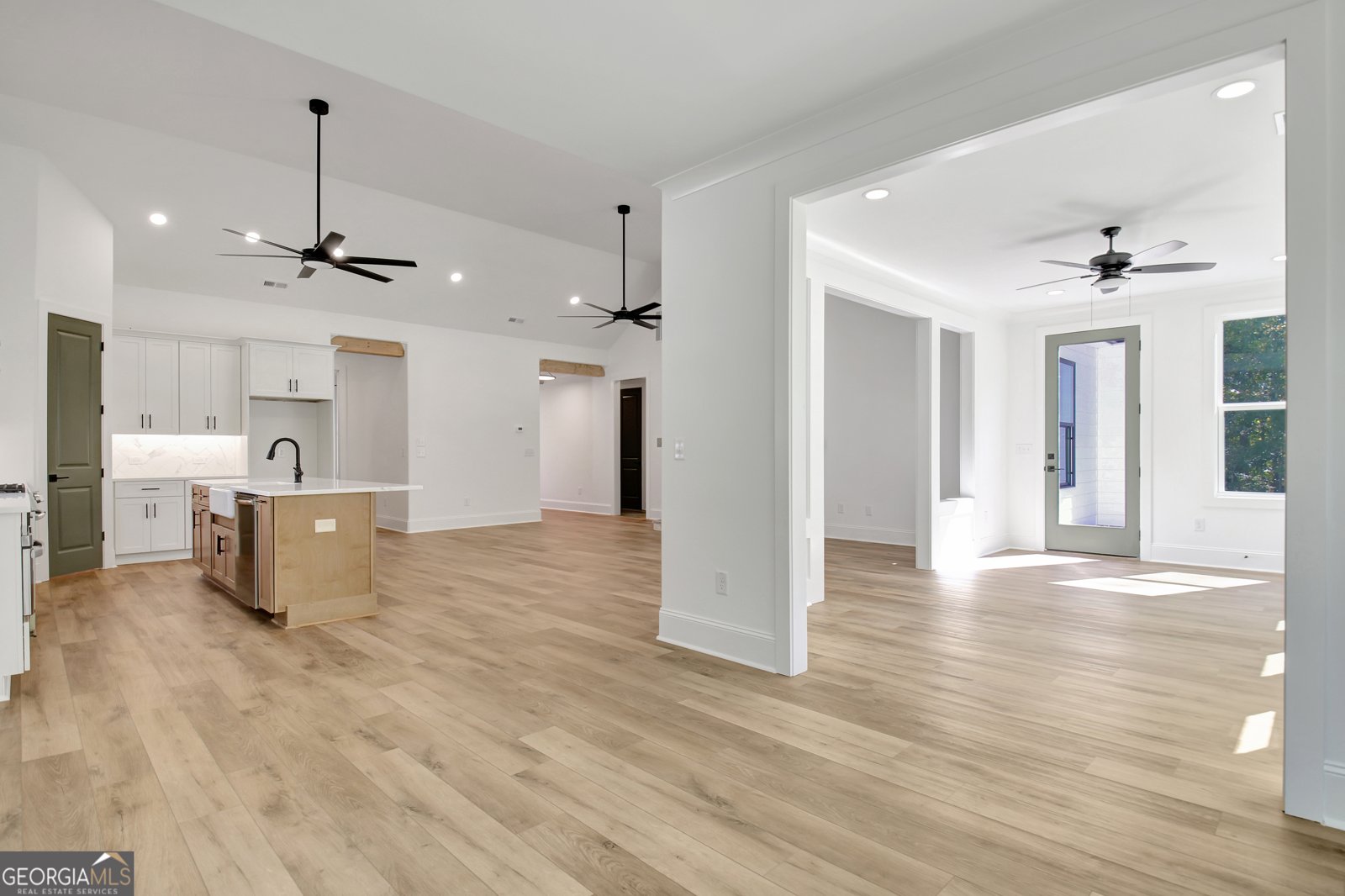 490 Werner Way Senoia - 21