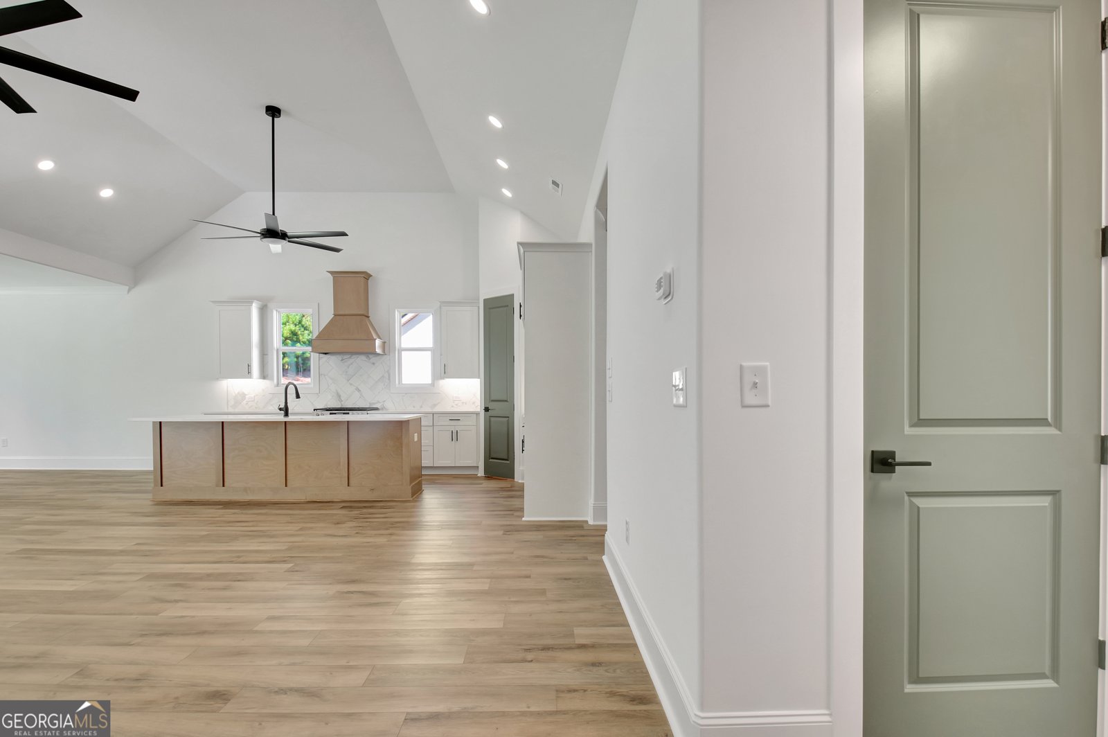 490 Werner Way Senoia - 3