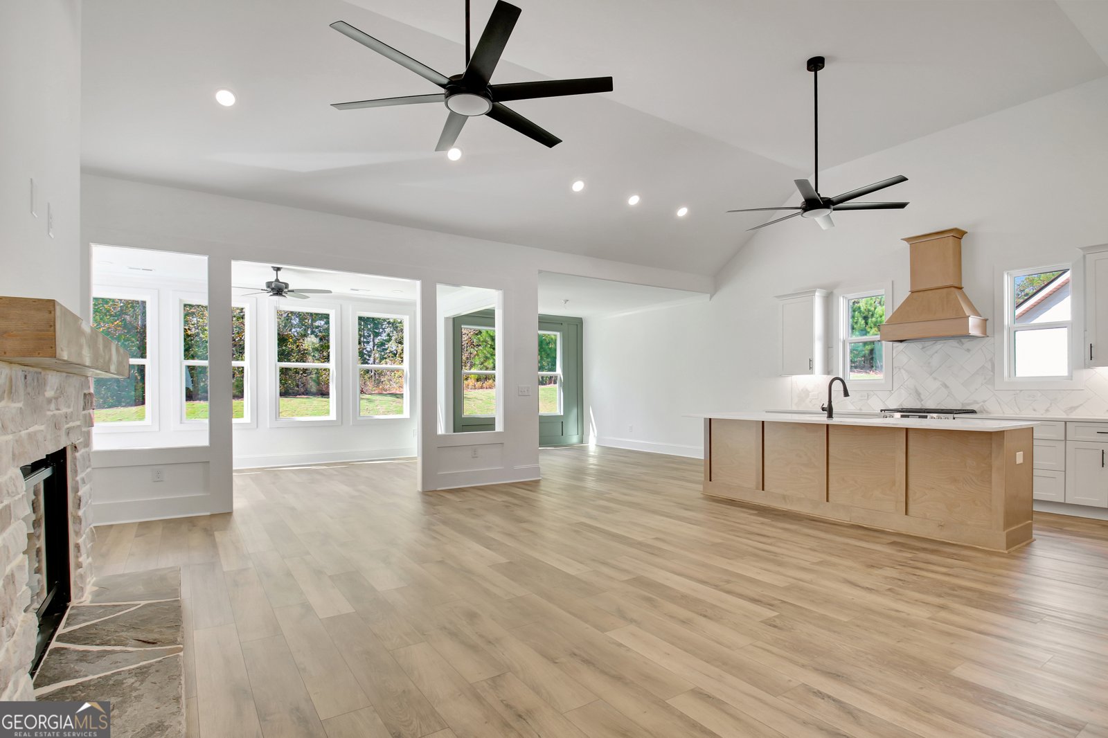 490 Werner Way Senoia - 4