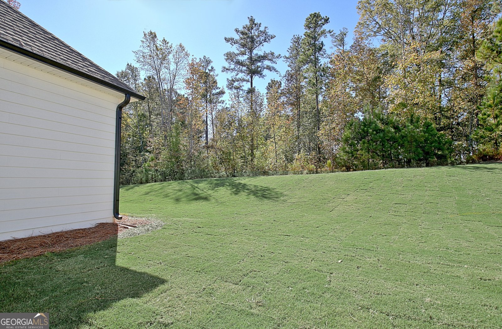 490 Werner Way Senoia - 61