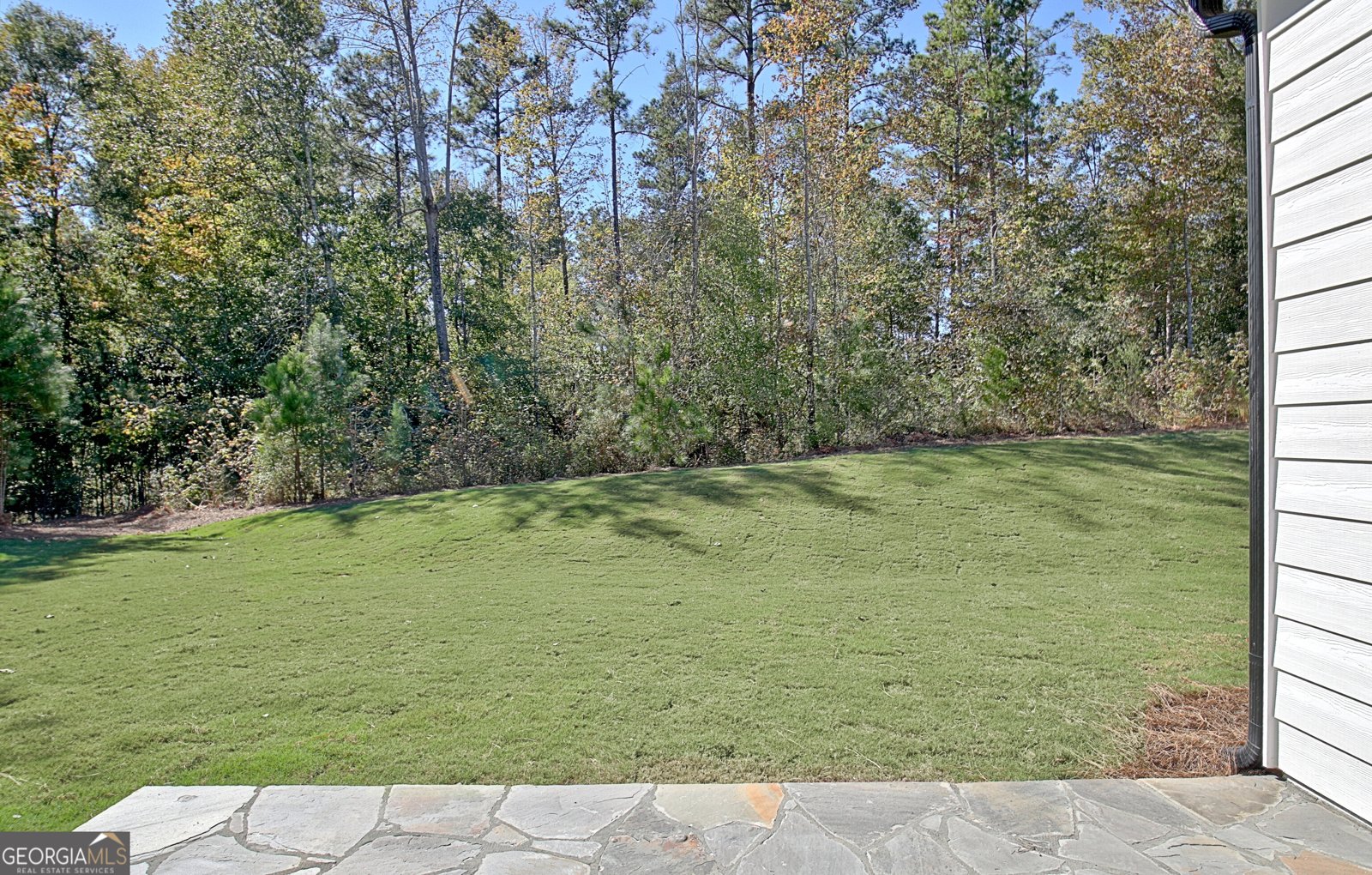 490 Werner Way Senoia - 67