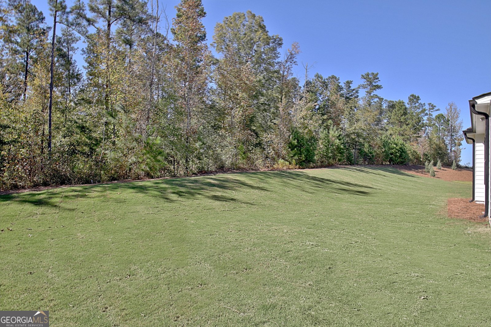 490 Werner Way Senoia - 68