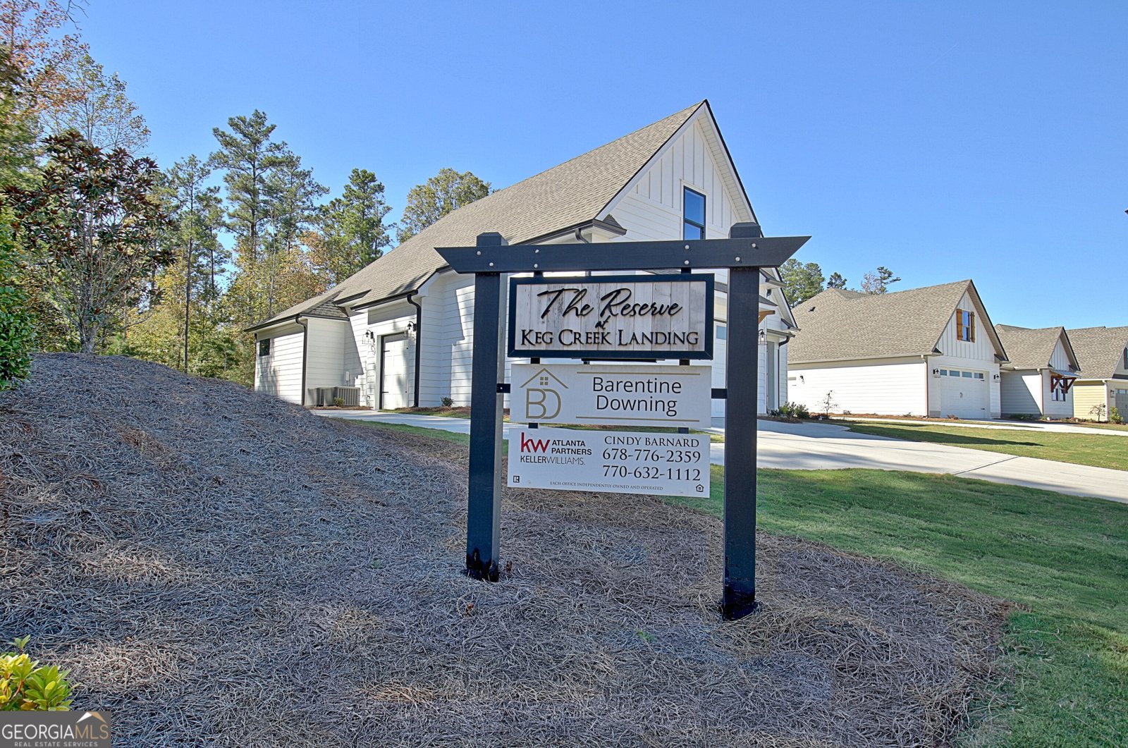 490 Werner Way Senoia - 69