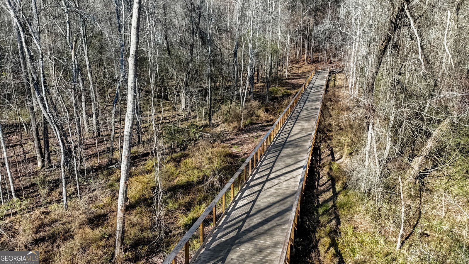 490 Werner Way Senoia - 72