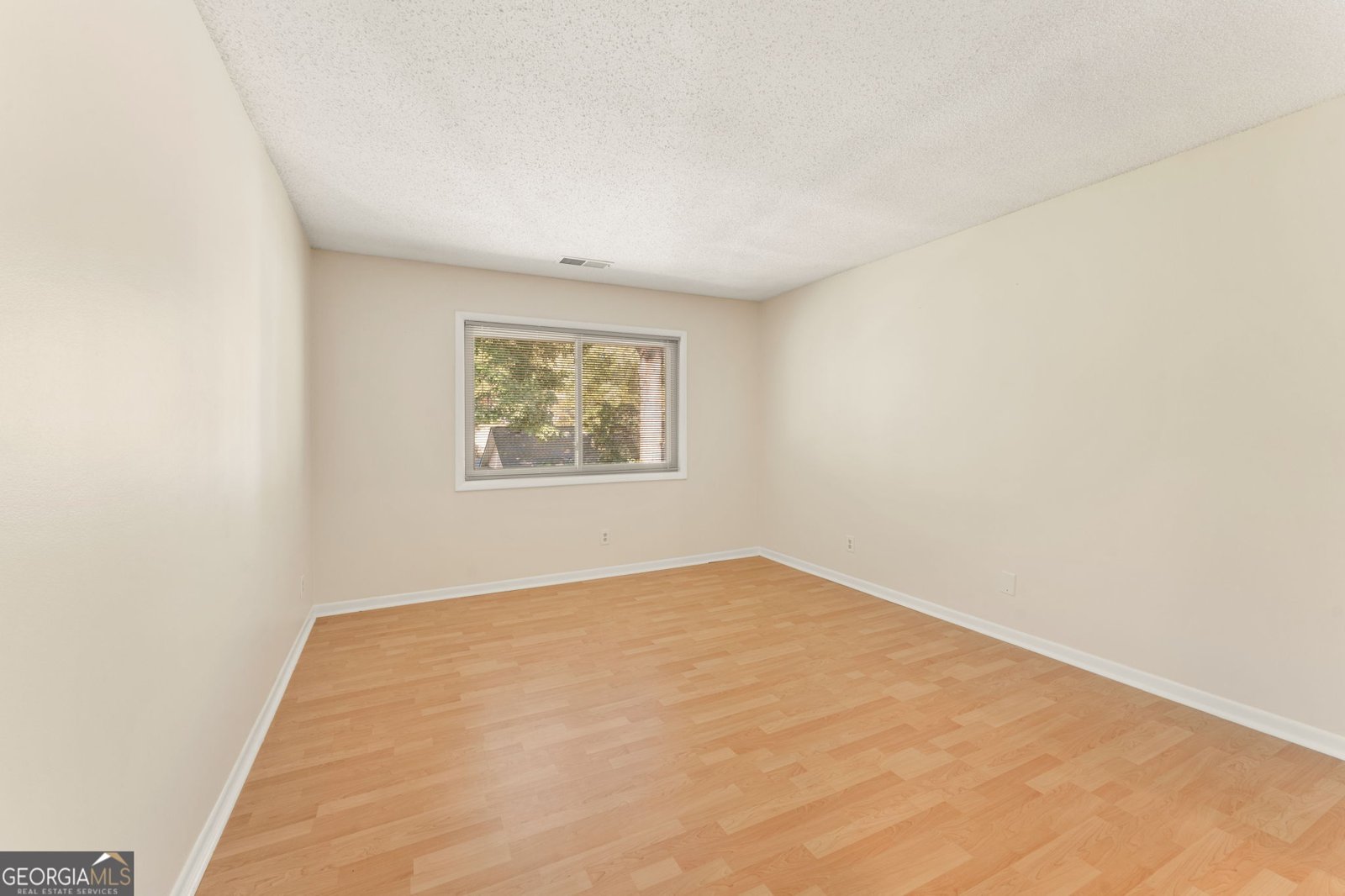 49 Basswood Circle Atlanta - 20