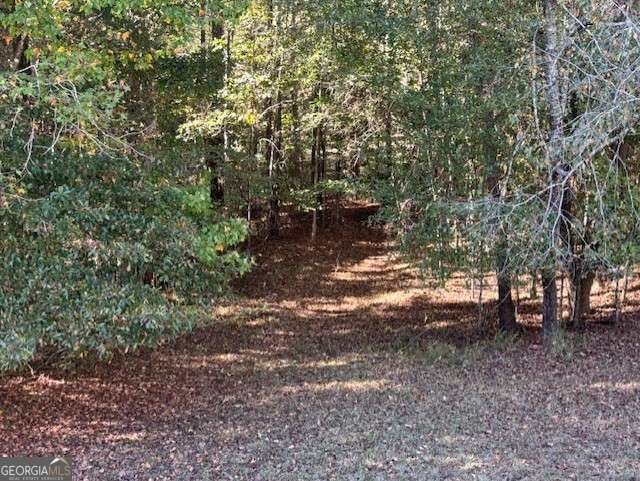 1820 River Road Mcdonough - 4