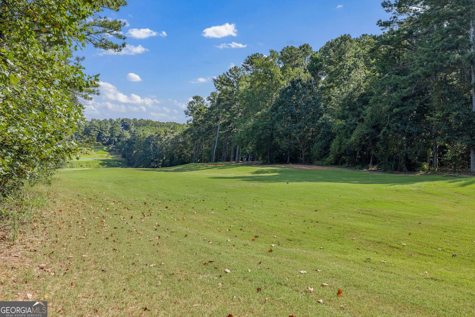2933 Misty Rock Cove Dacula - 31