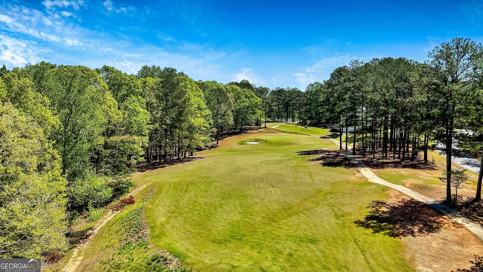 776 Arbor Springs Parkway Newnan - 16