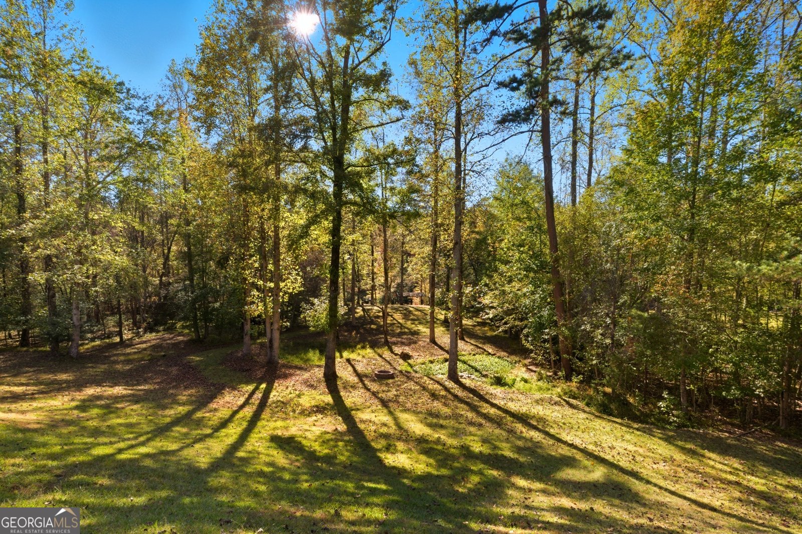 478 Chattahoochee Glen Rd Clarkesville - 44