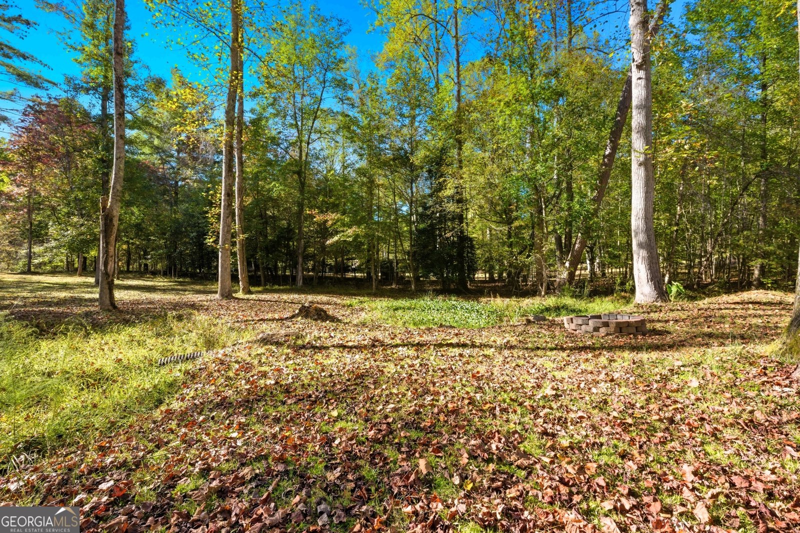478 Chattahoochee Glen Rd Clarkesville - 45