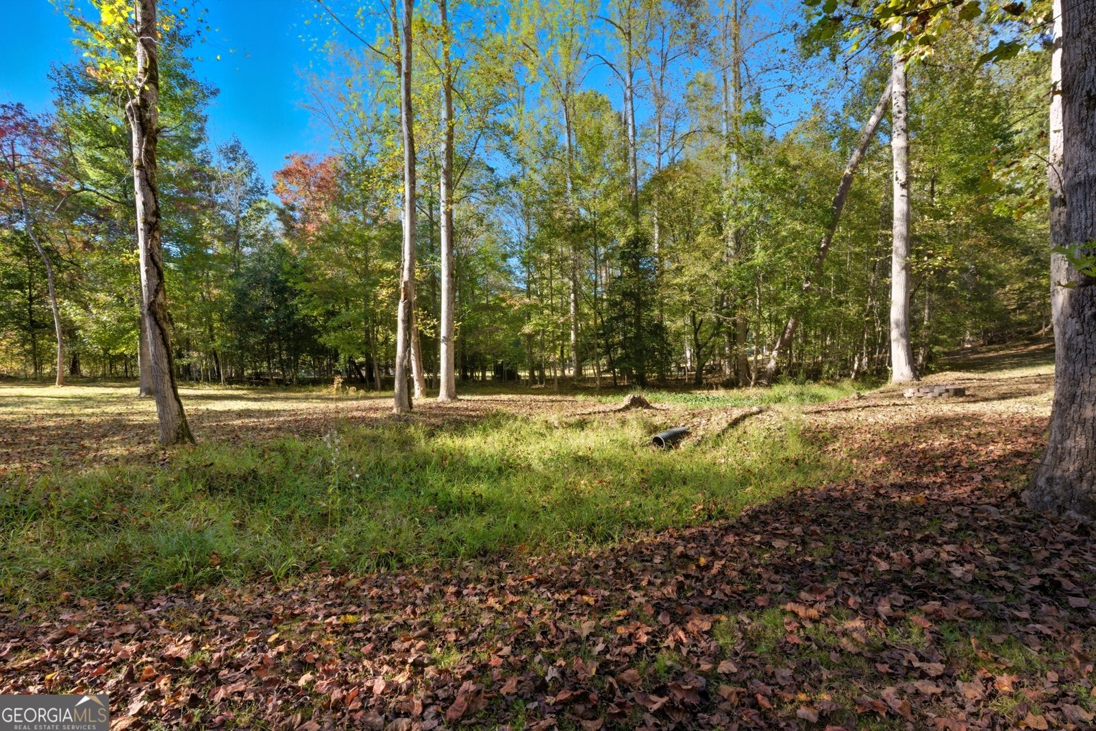 478 Chattahoochee Glen Rd Clarkesville - 46