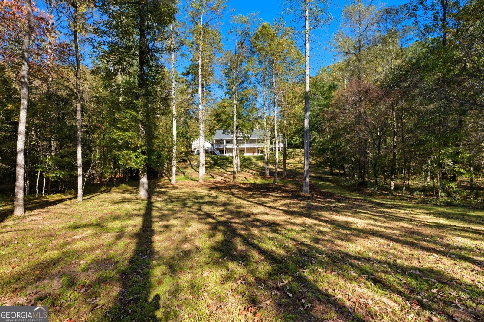 478 Chattahoochee Glen Rd Clarkesville - 47