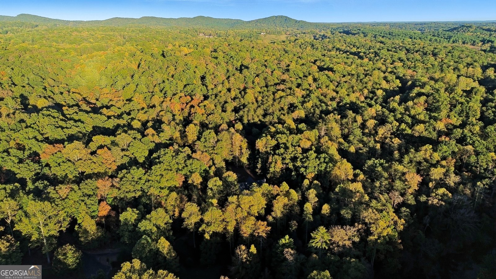 478 Chattahoochee Glen Rd Clarkesville - 52