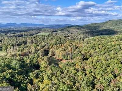 1837 Deep South Farm Road Blairsville - 16