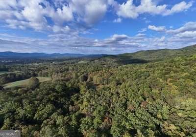 1837 Deep South Farm Road Blairsville - 17