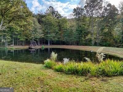 1837 Deep South Farm Road Blairsville - 23