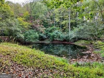 1837 Deep South Farm Road Blairsville - 24