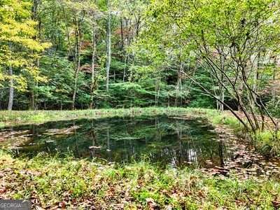 1837 Deep South Farm Road Blairsville - 25