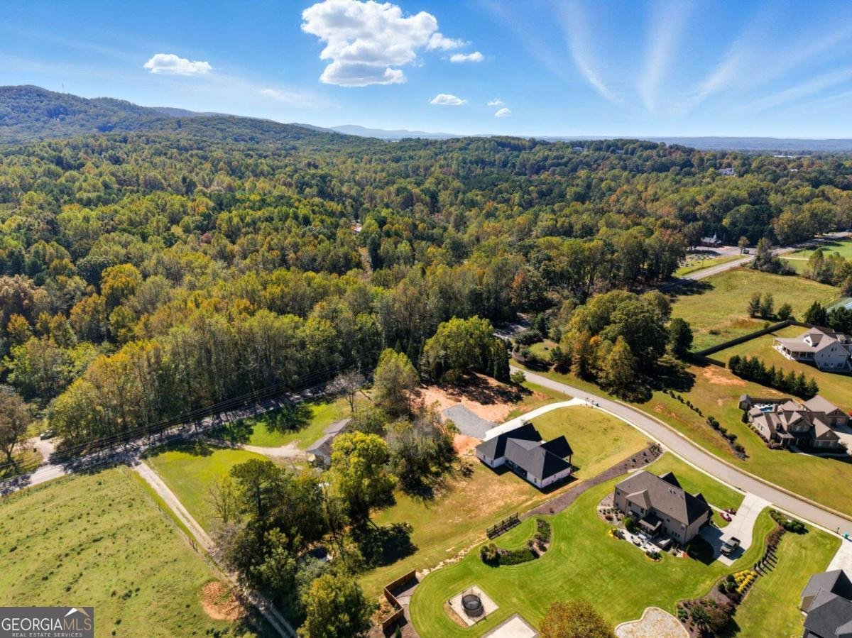 56 Village Creek Drive Jasper - 51