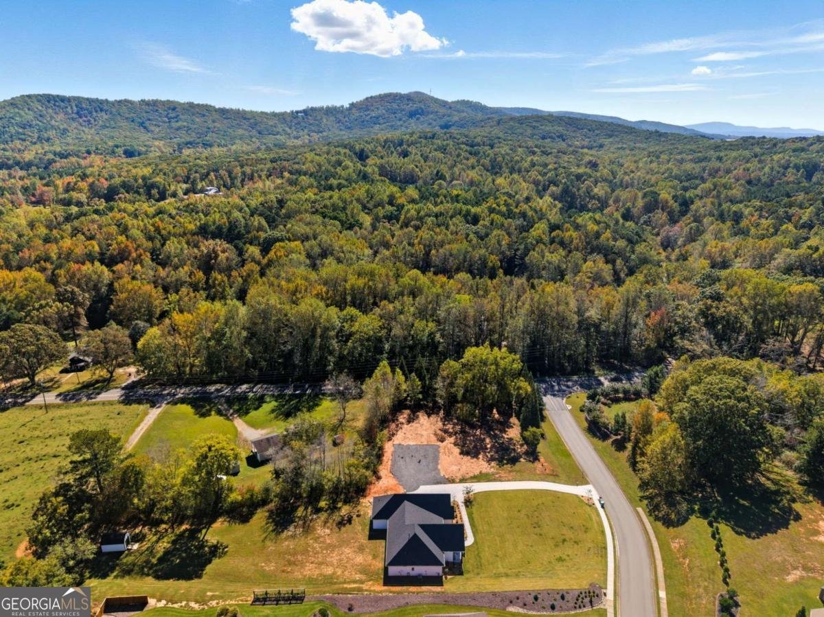 56 Village Creek Drive Jasper - 52