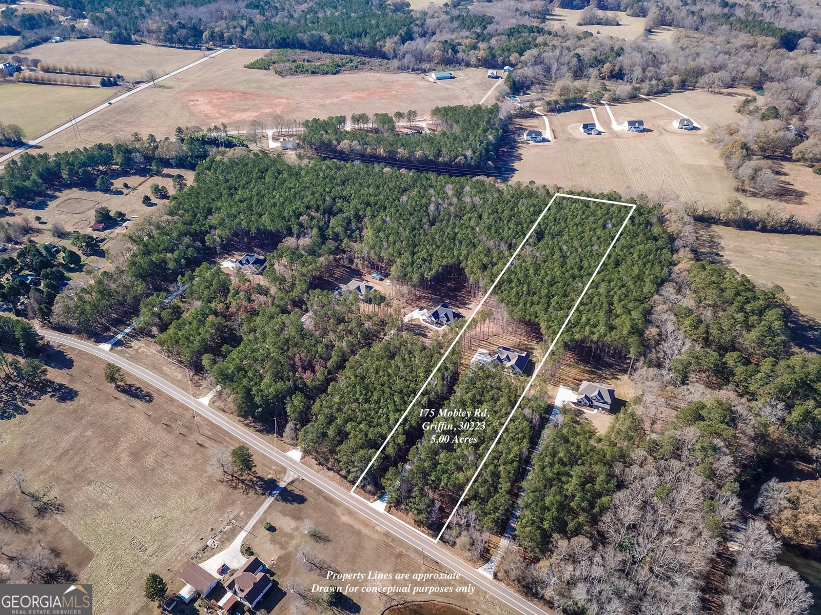 175 Mobley Road Griffin - Photo 50