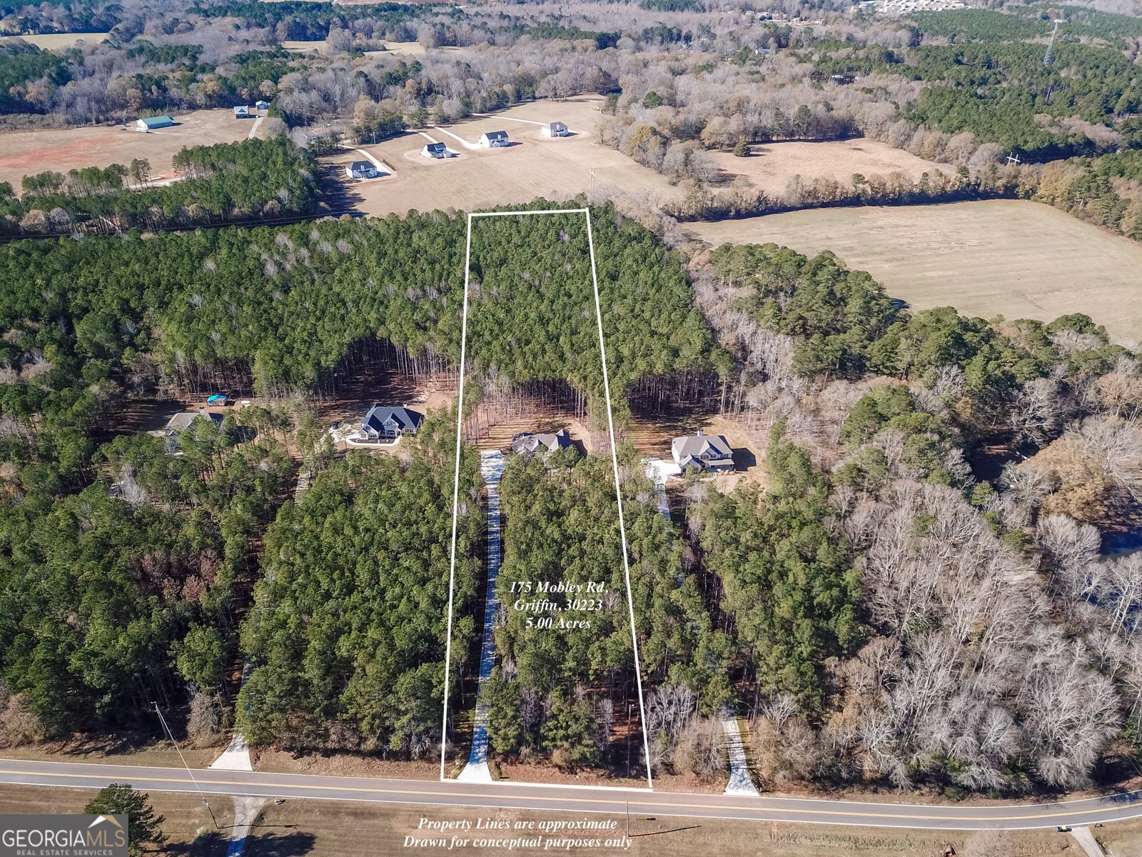 175 Mobley Road Griffin - Photo 51