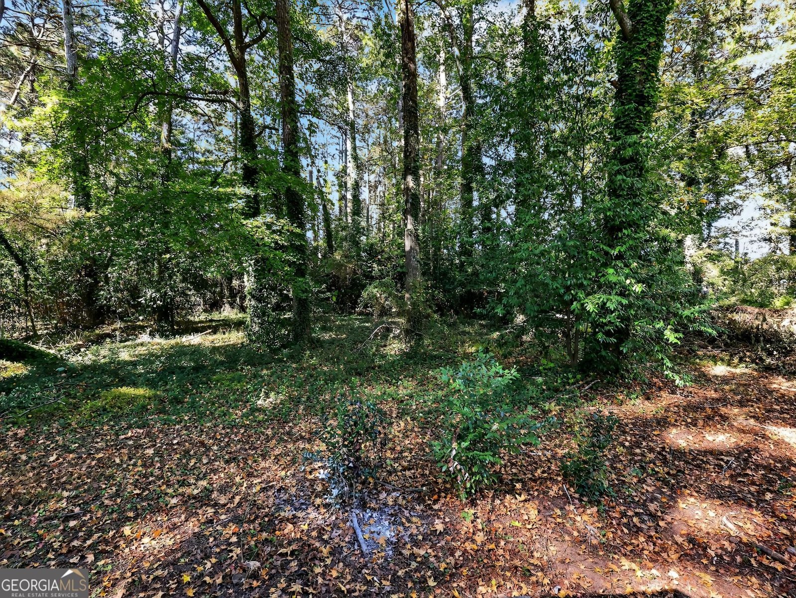 1481 Corn Crib Court Stone Mountain - 34