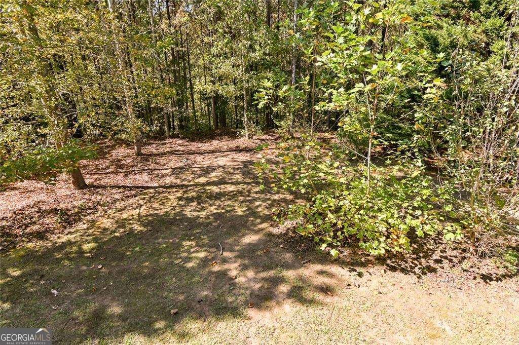 916 Tucker Lane Loganville - 44