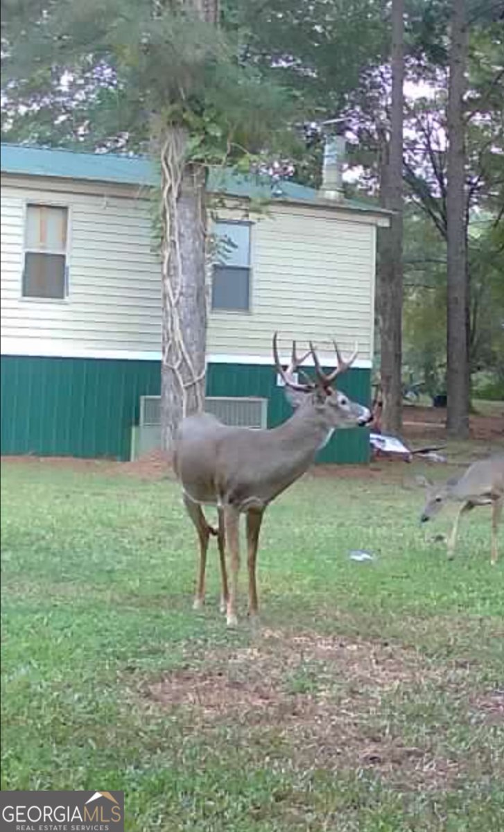 211 Lakeview Drive Sandersville - 13