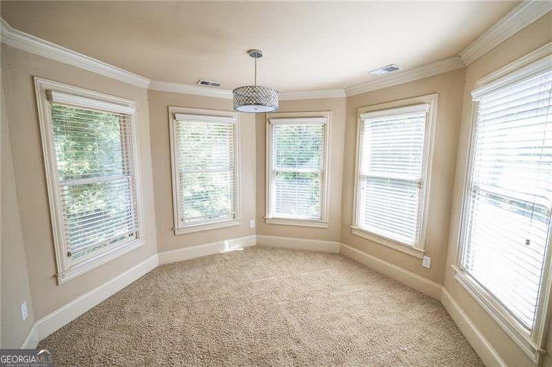2704 Olivine Drive Dacula - 26