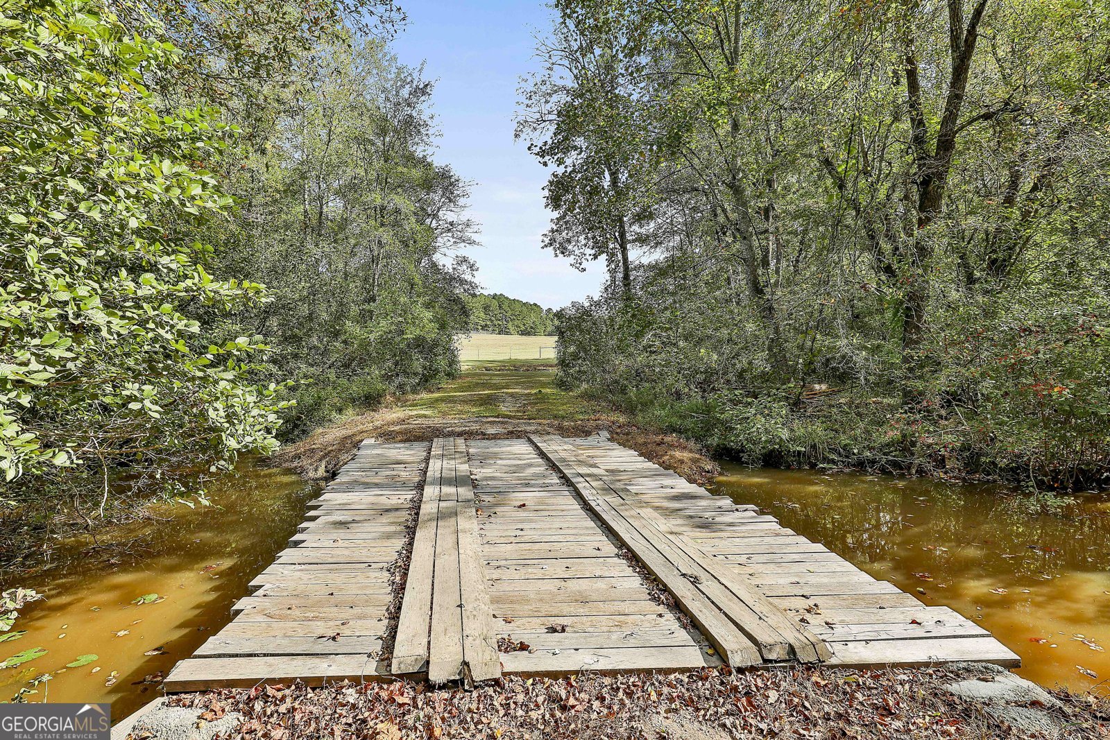 1505 Elders Mill Rd Senoia - 37