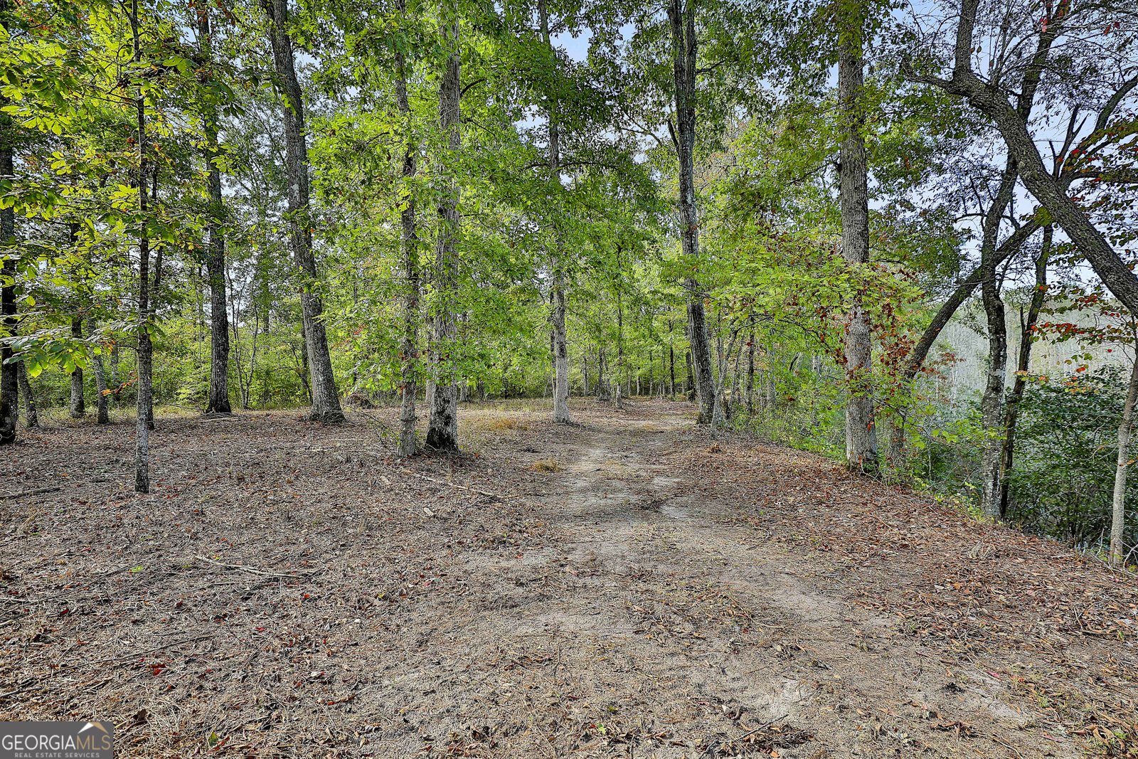 1505 Elders Mill Rd Senoia - 39